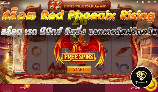สล็อต Red Phoenix Rising